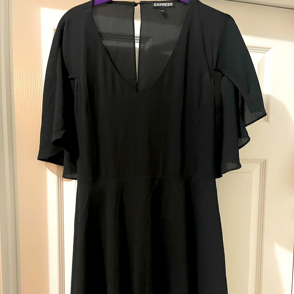 Womens EXPRESS size 6 dress with sheer sleeves